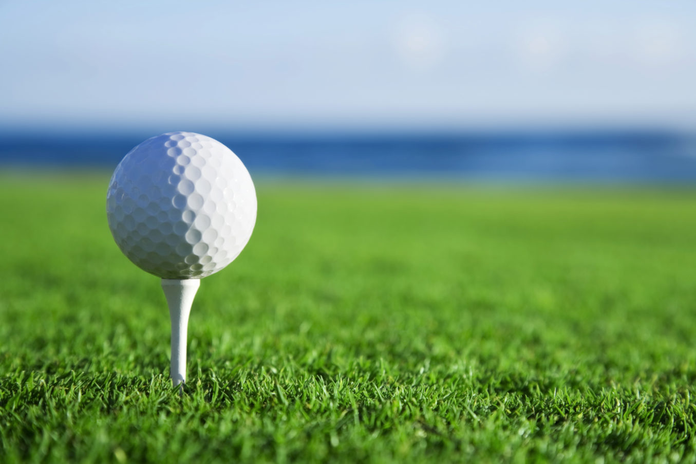 Golf Event Golf Ball on Tee Green Grass Office Experts, Lexington, OH, Ohio